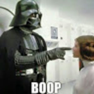 Meet your Posher, Donna